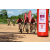 Team 121 / Raid Amazones Sri Lanka 2018 - J3 VTT