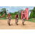 Team 131 / Raid Amazones Sri Lanka 2018 - J3 VTT