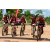 Team 70 / Raid Amazones Sri Lanka 2018 - J3 VTT