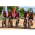 Team 101 / Raid Amazones Sri Lanka 2018 - J3 VTT