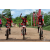 Team 125 / Raid Amazones Sri Lanka 2018 - J3 VTT