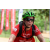Team 58 / Raid Amazones Sri Lanka 2018 - J3 VTT