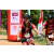 Team 137 / Raid Amazones Sri Lanka 2018 - J3 VTT