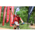 Team 42 / Raid Amazones Sri Lanka 2018 - J3 VTT