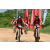Team 37 / Raid Amazones Sri Lanka 2018 - J3 VTT