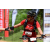 Team 20 / Raid Amazones Sri Lanka 2018 - J3 VTT