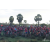 Raid Amazones Sri Lanka 2018 - J3 VTT