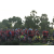 Raid Amazones Sri Lanka 2018 - J3 VTT