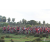 Raid Amazones Sri Lanka 2018 - J3 VTT