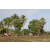 Raid Amazones Sri Lanka 2018 - J3 VTT