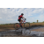 Team 145 / Raid Amazones Sri Lanka 2018 - J3 VTT