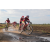 Team 07 / Raid Amazones Sri Lanka 2018 - J3 VTT