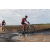 Team 104 / Raid Amazones Sri Lanka 2018 - J3 VTT