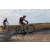 Team 72 / Raid Amazones Sri Lanka 2018 - J3 VTT