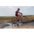 Team 137 / Raid Amazones Sri Lanka 2018 - J3 VTT