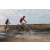 Team 71 / Raid Amazones Sri Lanka 2018 - J3 VTT