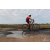 Team 118 / Raid Amazones Sri Lanka 2018 - J3 VTT