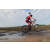 Team 14 / Raid Amazones Sri Lanka 2018 - J3 VTT