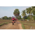 Raid Amazones Sri Lanka 2018 - J3 VTT