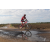 Team 51 / Raid Amazones Sri Lanka 2018 - J3 VTT