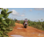 Raid Amazones Sri Lanka 2018 - J3 VTT