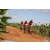 Raid Amazones Sri Lanka 2018 - J3 VTT