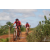 Team 12 / Raid Amazones Sri Lanka 2018 - J3 VTT