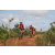 Team 45 / Raid Amazones Sri Lanka 2018 - J3 VTT