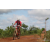 Team 11 / Raid Amazones Sri Lanka 2018 - J3 VTT