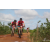 Team 112 / Raid Amazones Sri Lanka 2018 - J3 VTT
