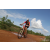 Team 11 / Raid Amazones Sri Lanka 2018 - J3 VTT