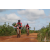 Team 08 / Raid Amazones Sri Lanka 2018 - J3 VTT