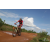 Team 66 / Raid Amazones Sri Lanka 2018 - J3 VTT