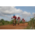 Team 54 / Raid Amazones Sri Lanka 2018 - J3 VTT