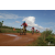 Team 54 / Raid Amazones Sri Lanka 2018 - J3 VTT