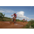 Team 54 / Raid Amazones Sri Lanka 2018 - J3 VTT