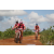 Team 131 / Raid Amazones Sri Lanka 2018 - J3 VTT