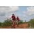 Team 23 / Raid Amazones Sri Lanka 2018 - J3 VTT