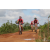 Team 108 / Raid Amazones Sri Lanka 2018 - J3 VTT