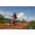 Team 108 / Raid Amazones Sri Lanka 2018 - J3 VTT
