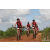 Team 145 / Raid Amazones Sri Lanka 2018 - J3 VTT
