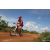 Team 104 / Raid Amazones Sri Lanka 2018 - J3 VTT