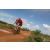 Team 70 / Raid Amazones Sri Lanka 2018 - J3 VTT