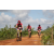 Team 125 / Raid Amazones Sri Lanka 2018 - J3 VTT