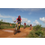 Team 125 / Raid Amazones Sri Lanka 2018 - J3 VTT