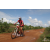 Team 71 / Raid Amazones Sri Lanka 2018 - J3 VTT