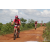 Team 24 / Raid Amazones Sri Lanka 2018 - J3 VTT