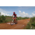 Team 24 / Raid Amazones Sri Lanka 2018 - J3 VTT