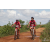 Team 18 / Raid Amazones Sri Lanka 2018 - J3 VTT
