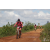 Team 114 / Raid Amazones Sri Lanka 2018 - J3 VTT